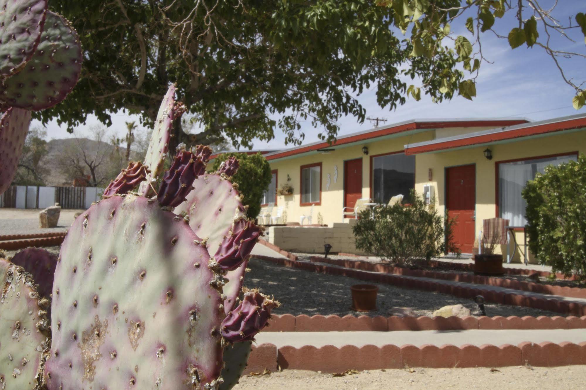 טוונטיניין פאלמס Harmony Motel מראה חיצוני תמונה